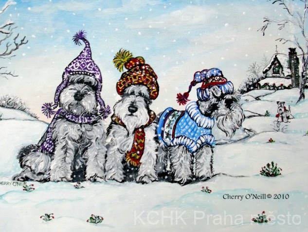 schnauzer2