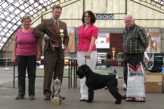 QUERUBIN-od-Dalajského-potoka_best-in-show-okv-25-4-2015-02